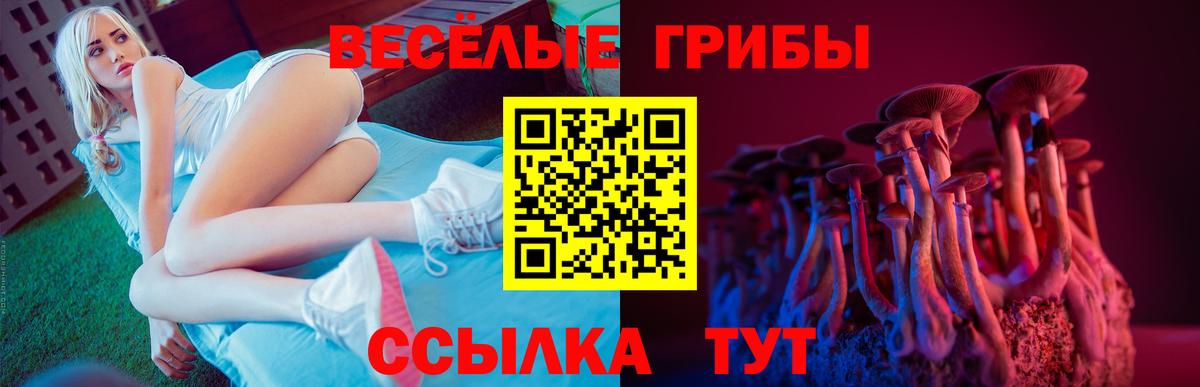 Галлюциногенные грибы Psilocybine cubensis Черкесск
